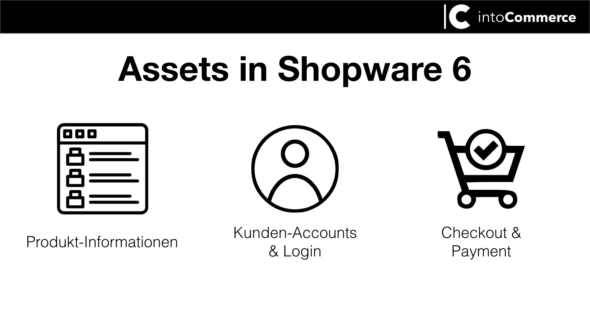 icon zu assets in Shopware 6